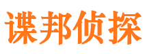 双峰私家侦探